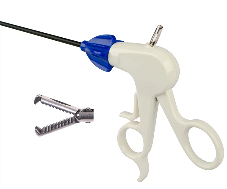 چوہا ٹوت فورپس